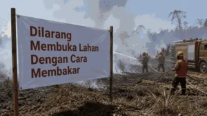 berita_1789017968