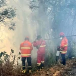 tim-gabungan-melakukan-pemadaman-karhutla-bromo-di-kawasan-jemplang-dengan-menggunakan-tangki-air-pemadam-kebakaran-bpbd-jatim-4ToMY