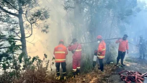 tim-gabungan-melakukan-pemadaman-karhutla-bromo-di-kawasan-jemplang-dengan-menggunakan-tangki-air-pemadam-kebakaran-bpbd-jatim-4ToMY