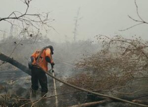 1791939637_hot_spot_nasional_turun_bukti_nyata_kerja_keras_pemerintah_mengendalikan_karhutla