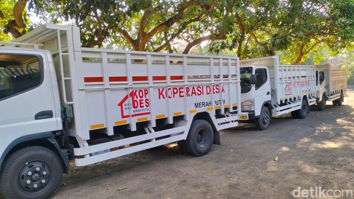 penampakan-truk-koperasi-desa-merah-putih-di-pamekasan-1773929519593_169